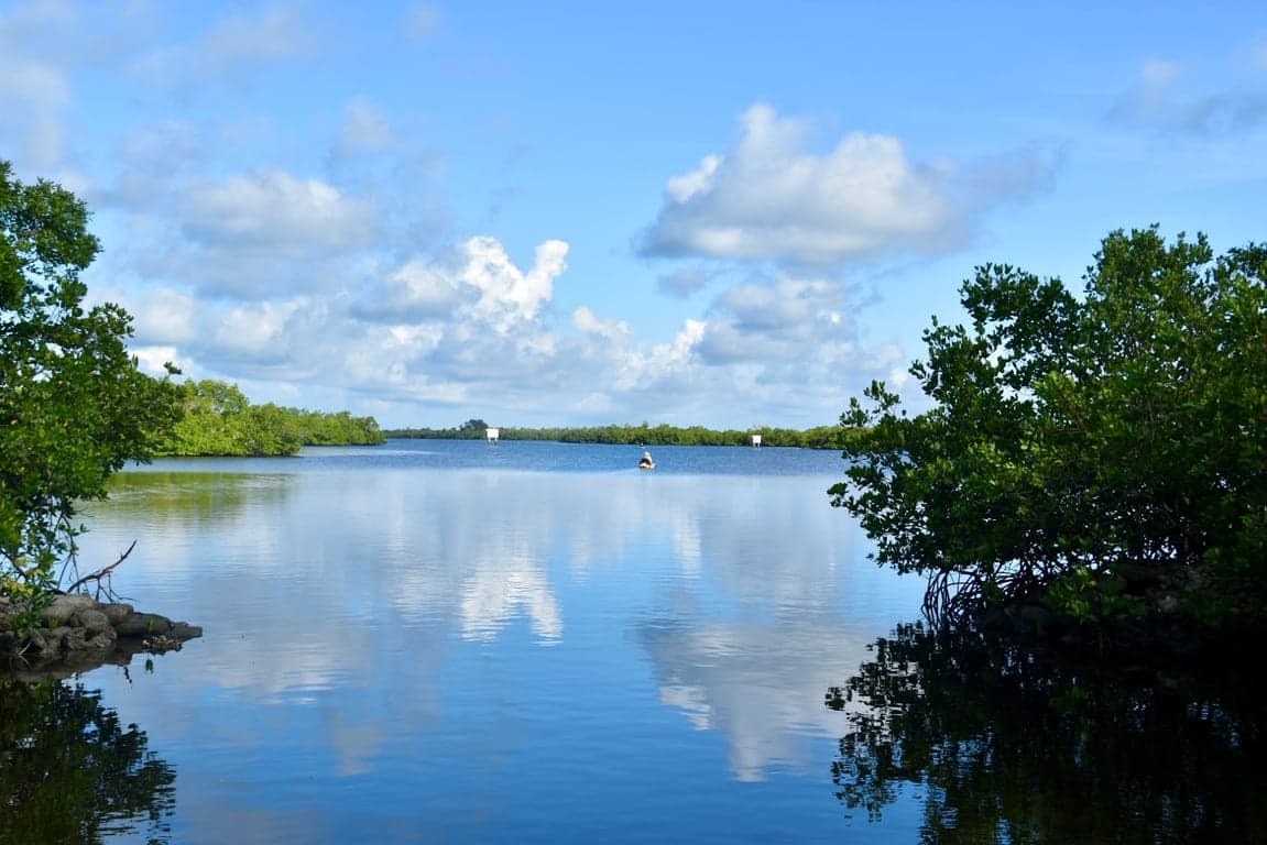 Marco Eco Tours - Kayak Tours and Rentals photo