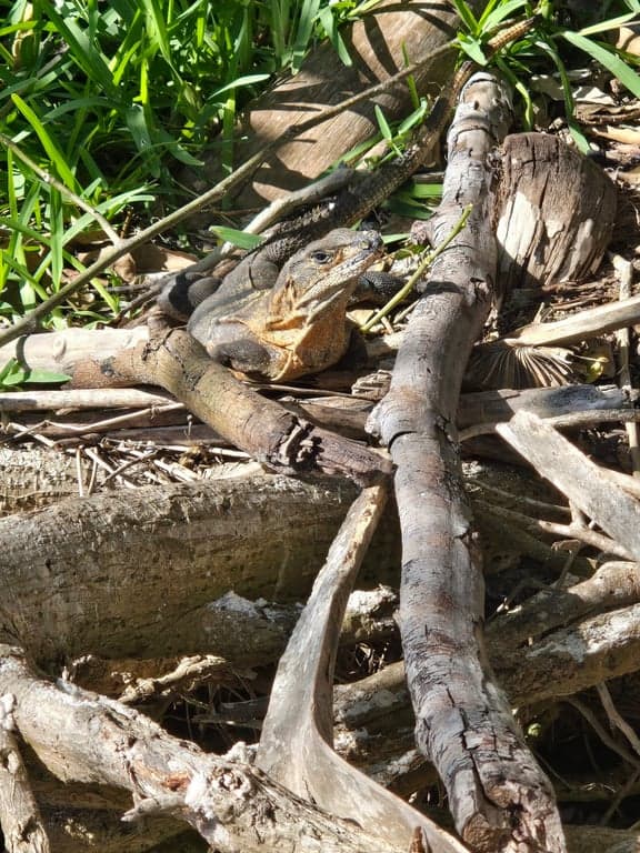 Keewaydin Island Beach photo